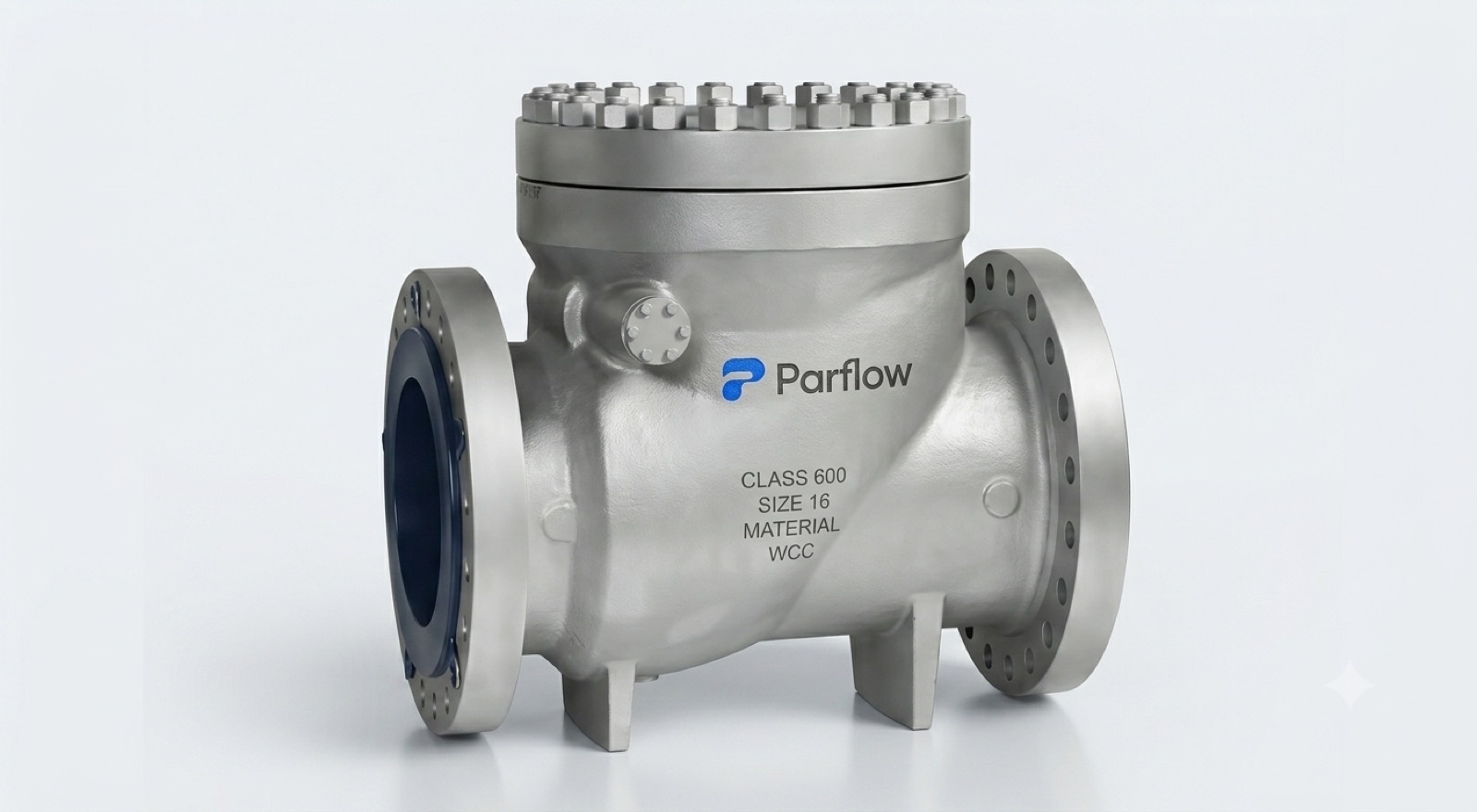 Check Valves